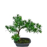 Greenmoods Kunstig Bonsai Podocarpus 40cm Greenmoods Kunstig Bonsai Podocarpus 40cm