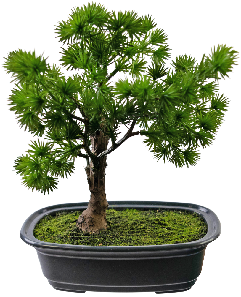 Greenmoods Kunstig Bonsai Einer 20cm