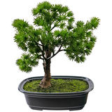 Greenmoods Kunstig Bonsai Einer 20cm Greenmoods Kunstig Bonsai Einer 20cm