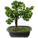 Greenmoods Kunstig Bonsai Einer 20cm