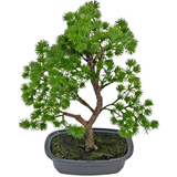 Greenmoods Kunstig Bonsai Einer 30cm Greenmoods Kunstig Bonsai Einer 30cm