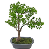 Greenmoods Kunstig Bonsai Einer 40cm Greenmoods Kunstig Bonsai Einer 40cm