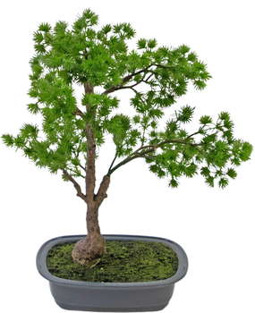 Greenmoods Kunstig Bonsai Einer 40cm Greenmoods Kunstig Bonsai Einer 40cm