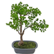 Greenmoods Kunstig  Bonsai Einer 40cm