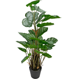 Greenmoods Kunstig Calathea Confusion 90cm Greenmoods Kunstig Calathea Confusion 90cm