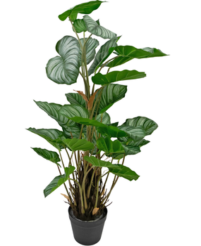 Greenmoods Kunstig Calathea Confusion 90cm Greenmoods Kunstig Calathea Confusion 90cm