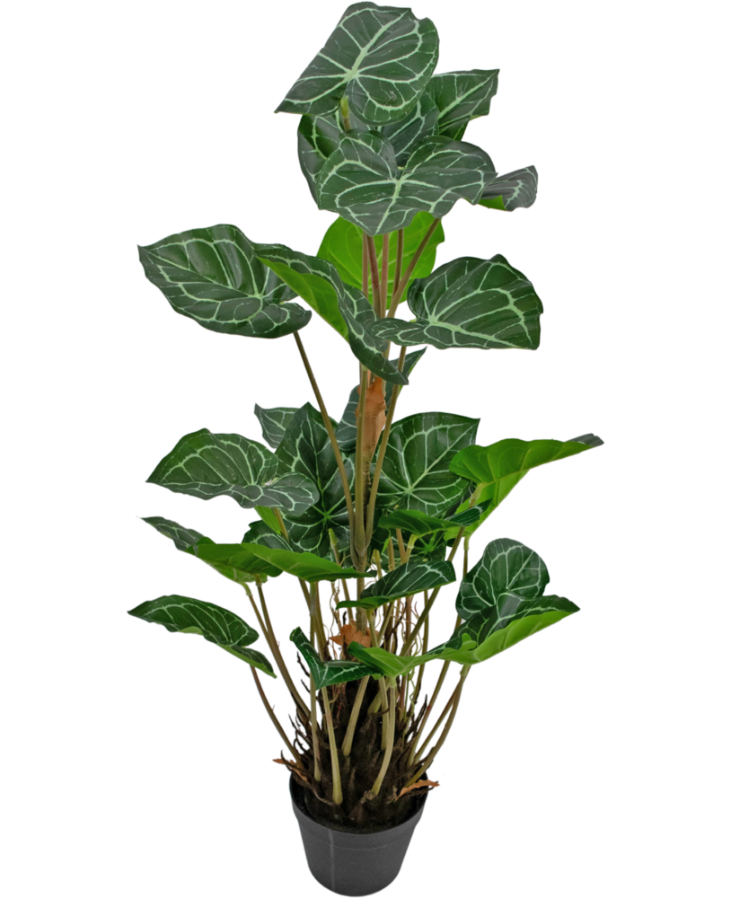 Greenmoods Kunstig Anthurium Grønn 90cm