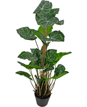 Greenmoods Kunstig Anthurium Grønn 90cm Greenmoods Kunstig Anthurium Grønn 90cm