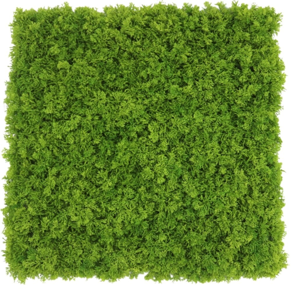 Greenmoods Kunstig Fjellmosevegg Brannsikker 50x50cm