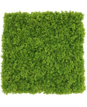 Greenmoods Kunstig Fjellmosevegg Brannsikker 50x50cm Greenmoods Kunstig Fjellmosevegg Brannsikker 50x50cm