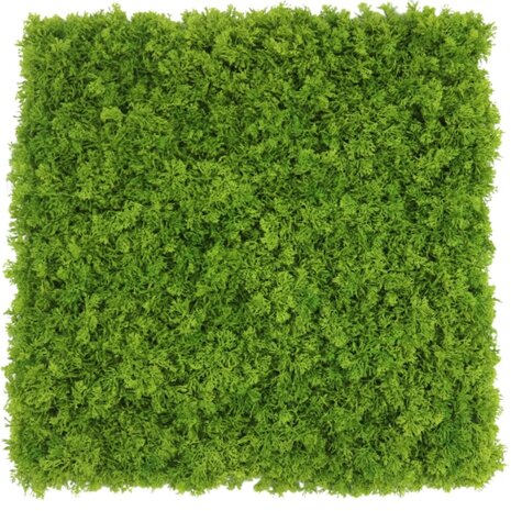 Greenmoods Kunstig Fjellmosevegg Brannsikker 50x50cm