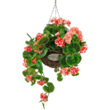 Greenmoods Kunstig Begonia Rosa i Kurv UV 70cm Greenmoods Kunstig Begonia Rosa i Kurv UV 70cm