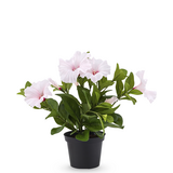 Greenmoods Kunstig Petunia Rosa i Potte 25cm