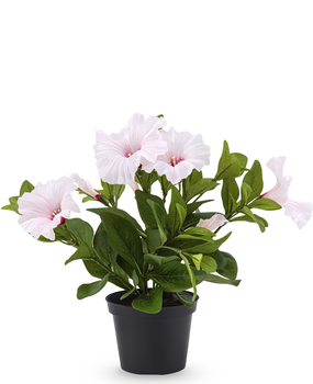 Greenmoods Kunstig Petunia Rosa i Potte 25cm