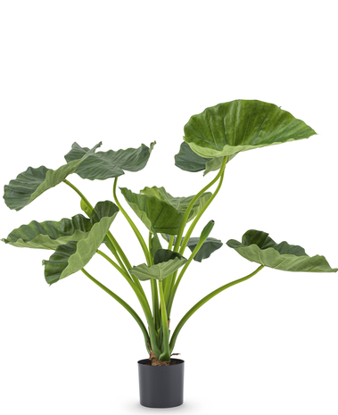 Greenmoods Kunstig Alocasia Calidora Deluxe 80cm