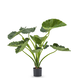 Greenmoods Kunstig Alocasia Calidora Deluxe 80cm