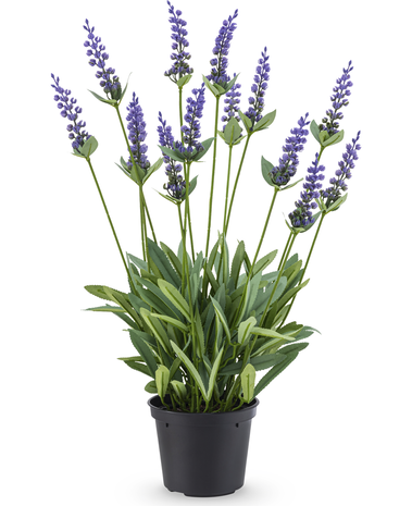 Greenmoods Kunstig Lavendel i Potte 44 cm