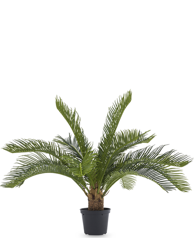 Greenmoods Kunstig Bay Cycas Palme UV 45cm