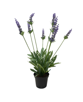 Greenmoods Kunstig Lavendel i Potte 43 cm Greenmoods Kunstig Lavendel i Potte 43 cm