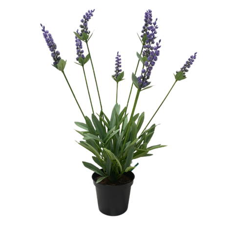 Greenmoods Kunstig Lavendel i Potte 43 cm