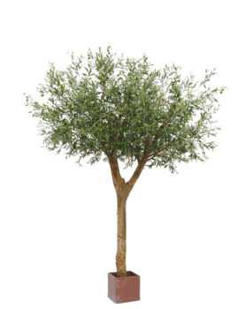 Greenmoods Kunstige Oliventre m/Oliven 300cm
