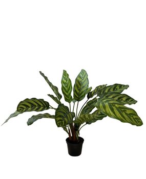 Greenmoods Kunstig Calathea Makoyana 45cm Greenmoods Kunstig Calathea Makoyana 45cm