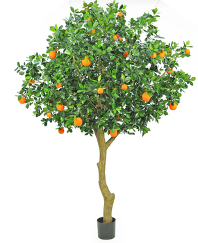 Greenmoods Kunstig Appelsintre 275cm Greenmoods Kunstig Appelsintre 275cm
