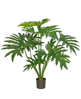 Greenmoods Kunstig plante Philodendron 80cm Greenmoods Kunstig plante Philodendron 80cm