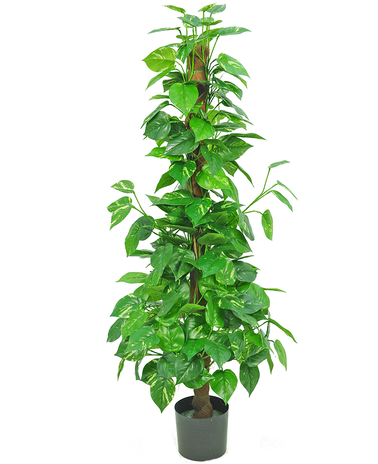 Greenmoods Kunstig Pothos på Stamme 130cm