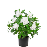 Greenmoods Kunstig plante Gardenia Hvit 39cm Greenmoods Kunstig plante Gardenia Hvit 39cm