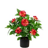 Greenmoods Kunstig Gardenia Fuchsia 39cm