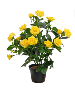 Greenmoods Kunstig Rosebusk i Potte Gul 35cm
