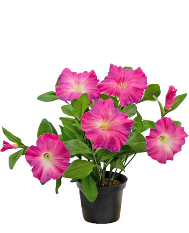 Greenmoods Kunstig Petunia i Potte Mørk Rosa 25cm