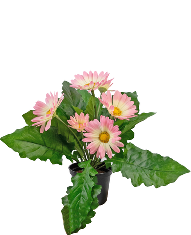 Greenmoods Kunstig Gerbera Rosa 28cm
