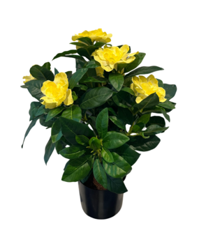 Greenmoods Kunstig Gardenia Gul 39cm