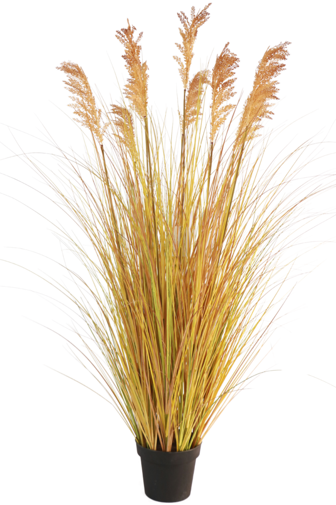 Greenmoods Kunstgressplante Sorghum 150 cm