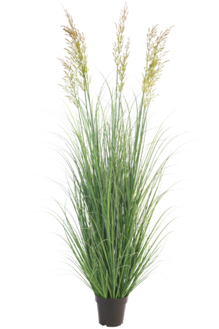 Greenmoods Kunstgressplante hvete 150 cm