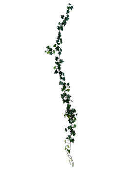 Greenmoods Kunstig Eføy Girlander Deluxe Grønn 180cm Greenmoods Kunstig Eføy Girlander Deluxe Grønn 180cm