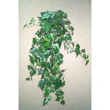 Greenmoods Kunstig Eføy Gigant blader 100cm Greenmoods Kunstig Eføy Gigant blader 100cm