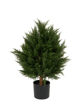 Greenmoods Kunstig Tuja Deluxe UV 60cm