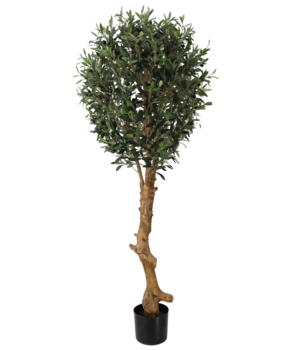 Greenmoods Kunstig Oliventre Twist UV 155cm