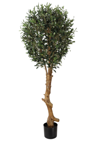 Greenmoods Kunstig Oliventre Twist UV 155cm