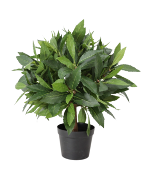 Greenmoods Kunstig Laurbær Ball På Stamme 30cm UV