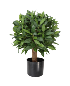 Greenmoods Kunstig Laurbær Ball På Stamme 50cm UV