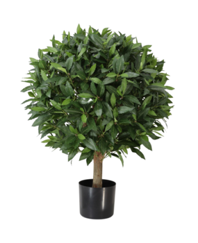 Greenmoods Kunstig Laurbær Ball På Stamme 80cm UV