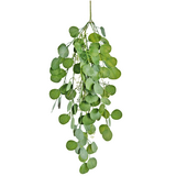 Greenmoods Kunstig hengende Eukalyptus 73cm Greenmoods Kunstig hengende Eukalyptus 73cm