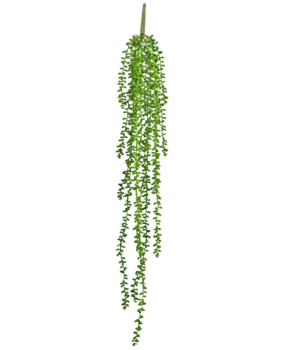 Greenmoods Kunstig hengende Senecio 91cm Greenmoods Kunstig hengende Senecio 91cm