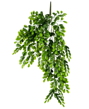 Greenmoods Kunstig hengeplante Pumila 86cm Greenmoods Kunstig hengeplante Pumila 86cm