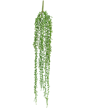 Greenmoods Kunstig hengende Senecio 91cm Greenmoods Kunstig hengende Senecio 91cm