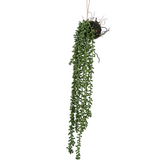 Greenmoods Kunstig hengeplante Senecio ball 58cm